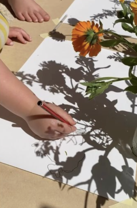 SHADOW DRAWING