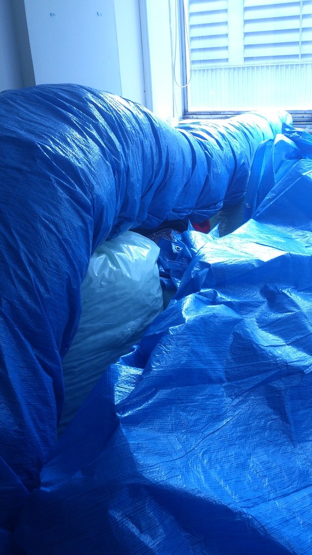 Sculptural installation 4.jpg