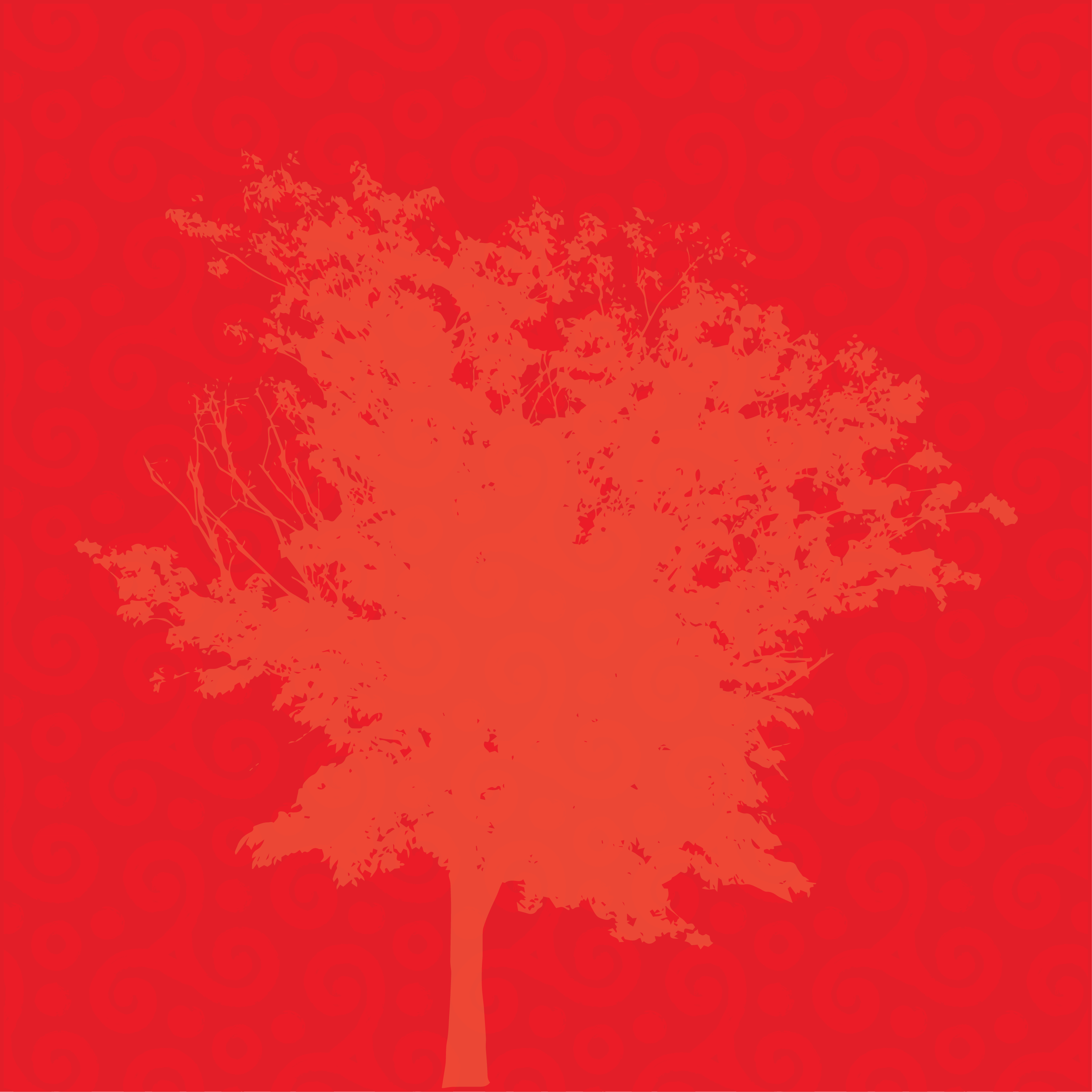 Tree Place holder (Referencing the Park to come)