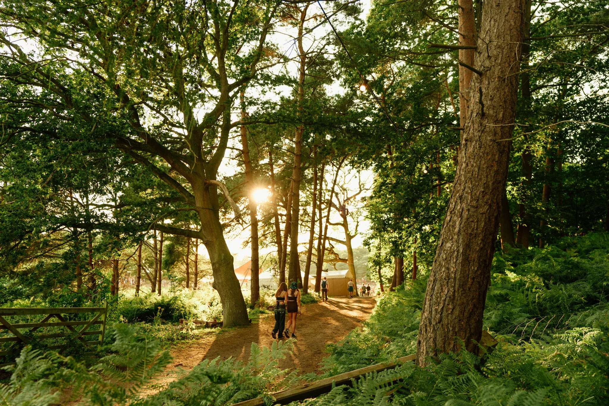 2023_LATITUDE_SUNDAY__BETHAN MILLER-228.jpg