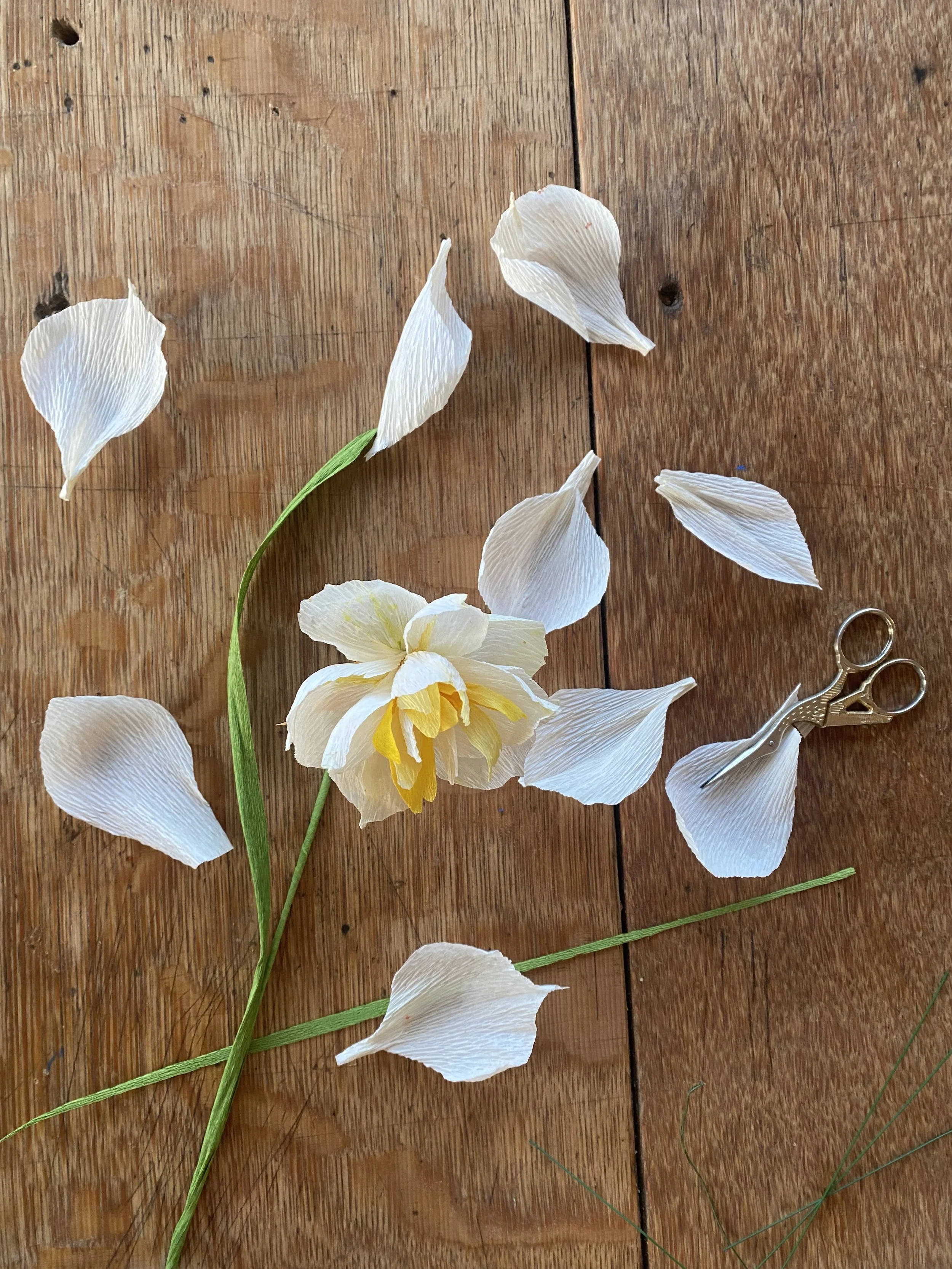 BA941BA1-EF20-4B5C-957E-5EAF0179F150 (2).jpeg