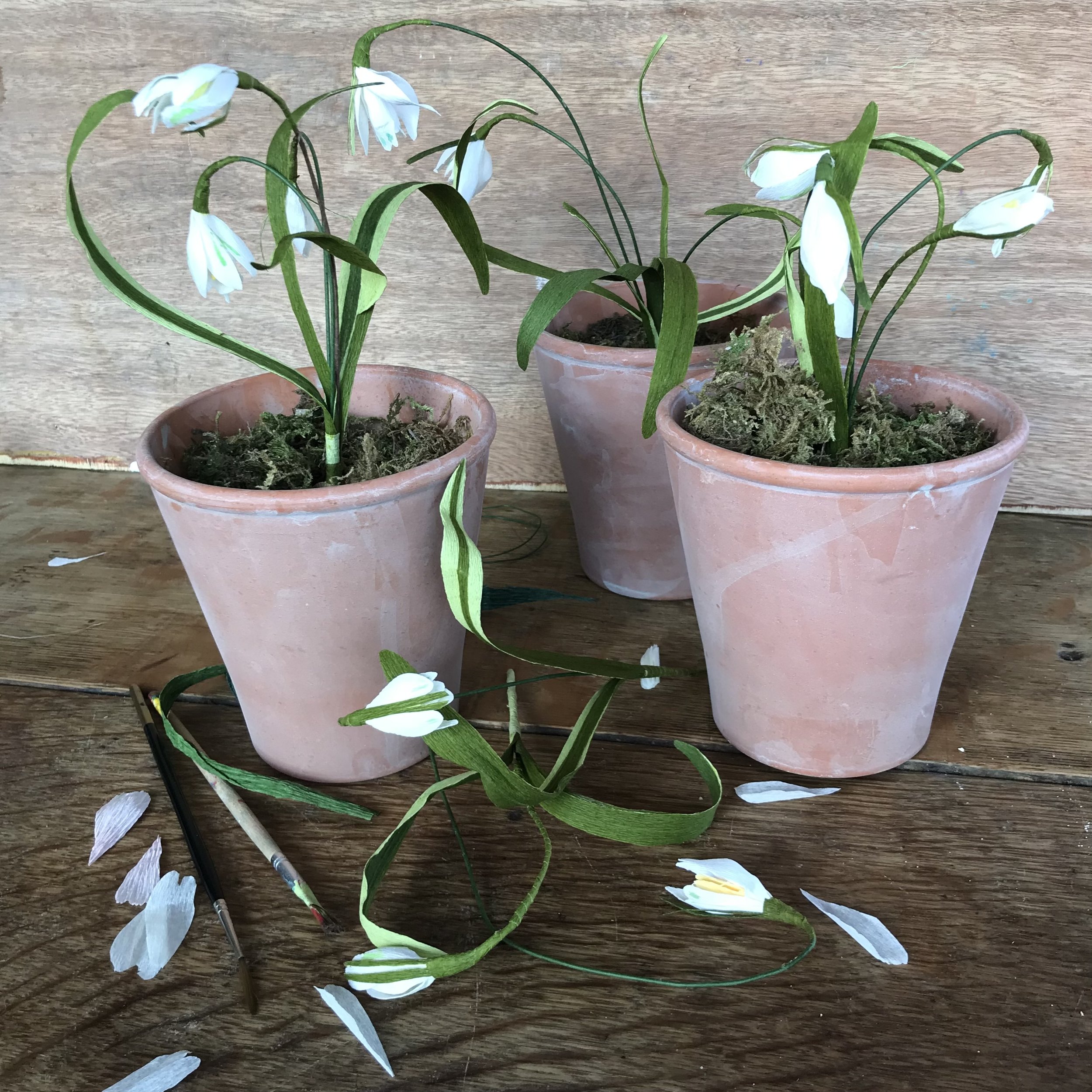 8F3F1185-94A6-47CB-82A1-5D71BC7FBFA9 (1).jpeg