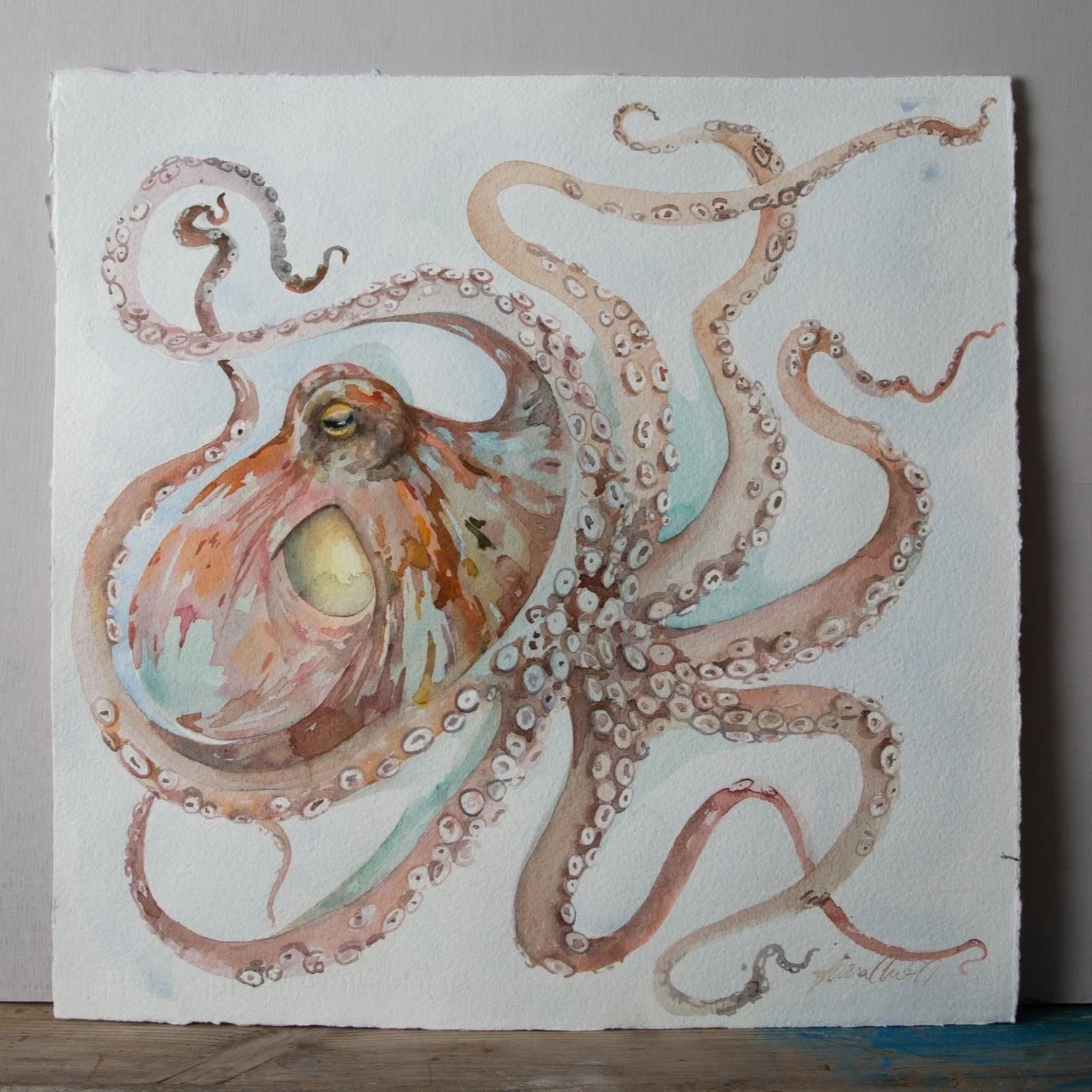 Octopus, watercolour on two rivers paper
SOLD