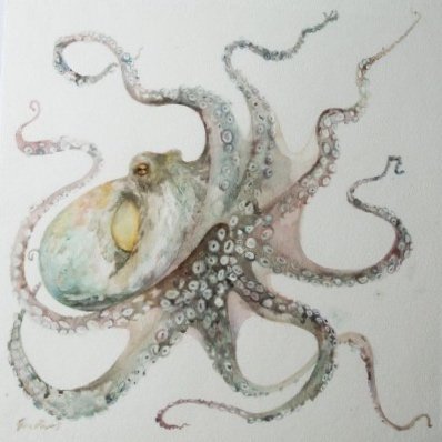 octo+for+web+etc.jpg