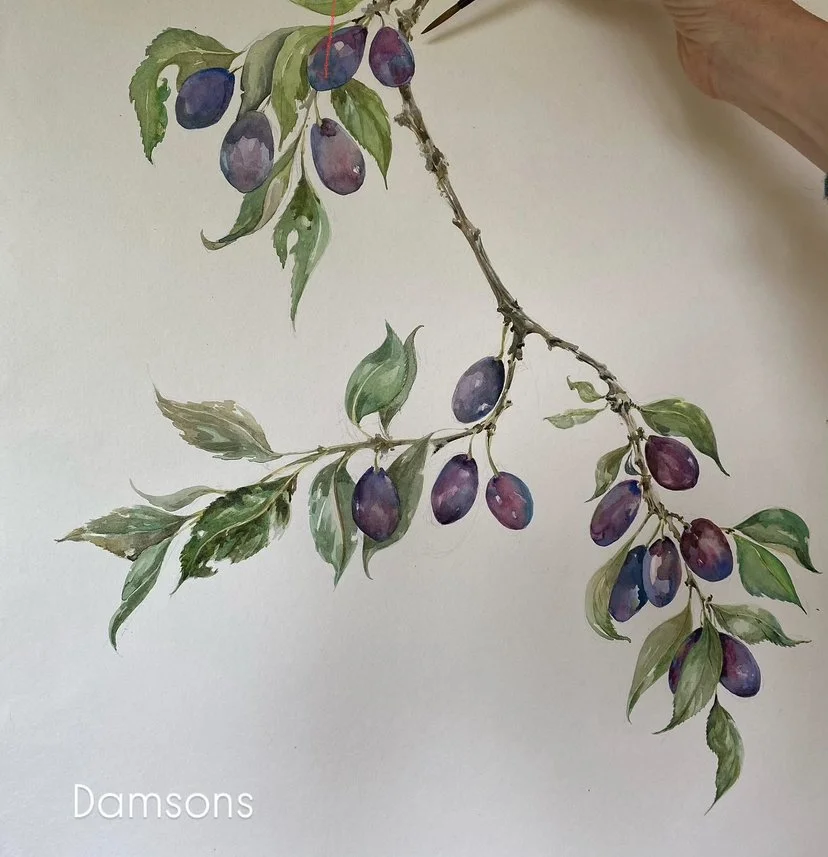 68F72C7B-D3BF-4FDC-A31A-35BB8758C06D (3).jpeg