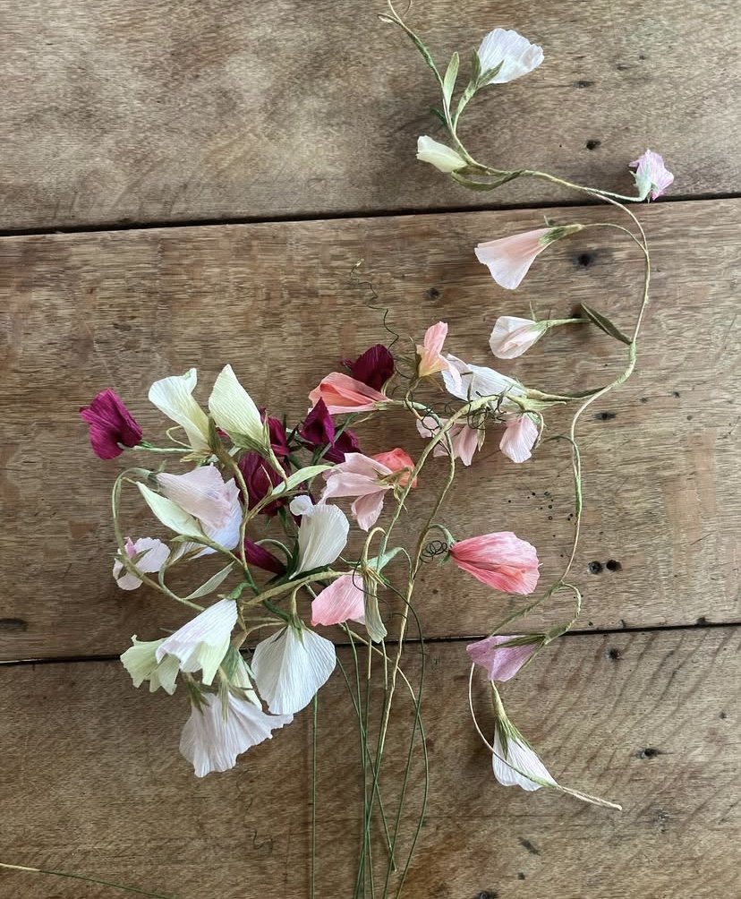 23A5DEDD-C412-4243-B426-17A8D225F7C0 (1).jpeg