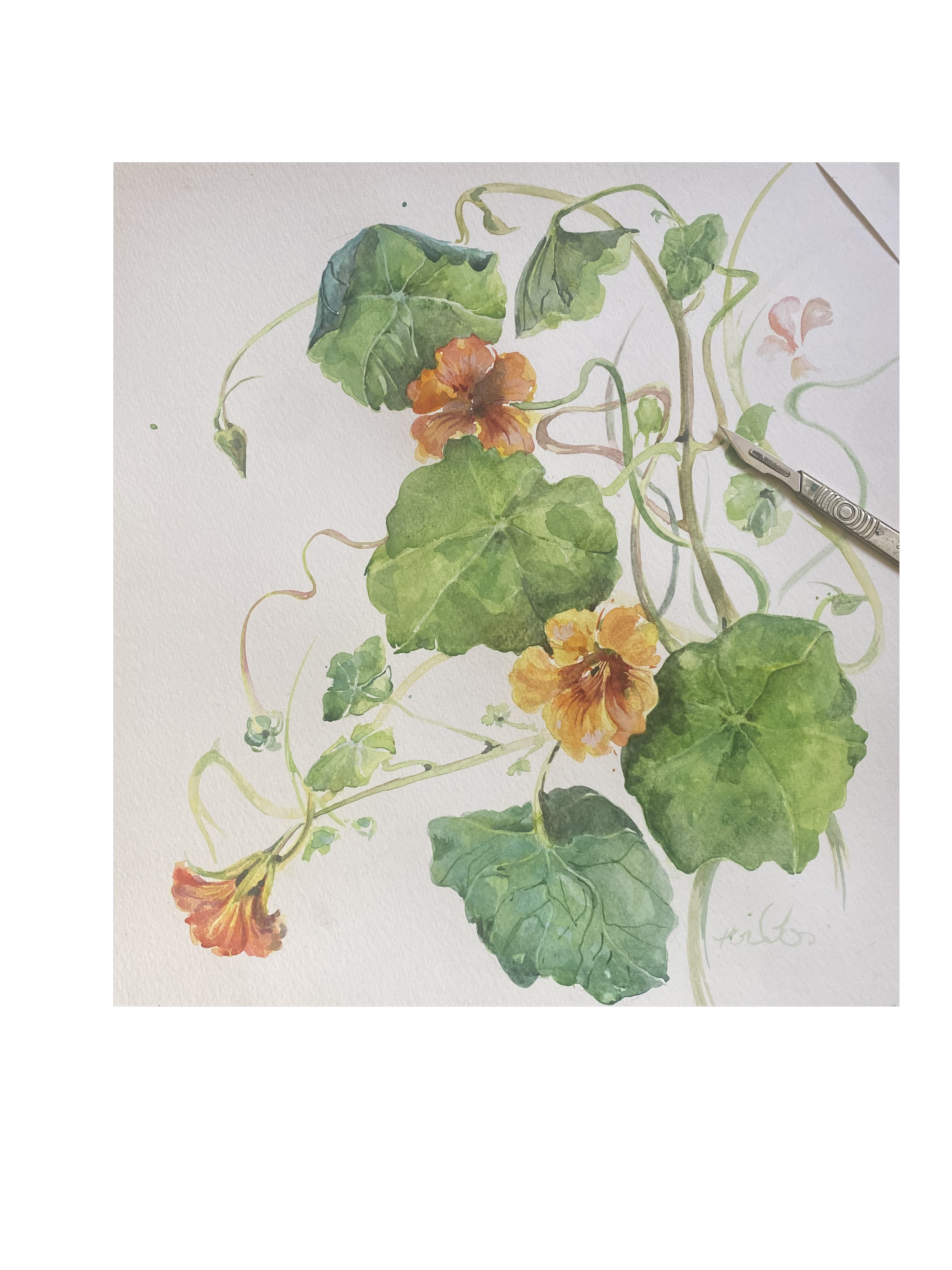 4FDD4E79-0524-4FC8-B543-FFD39D2513A4 (2).png