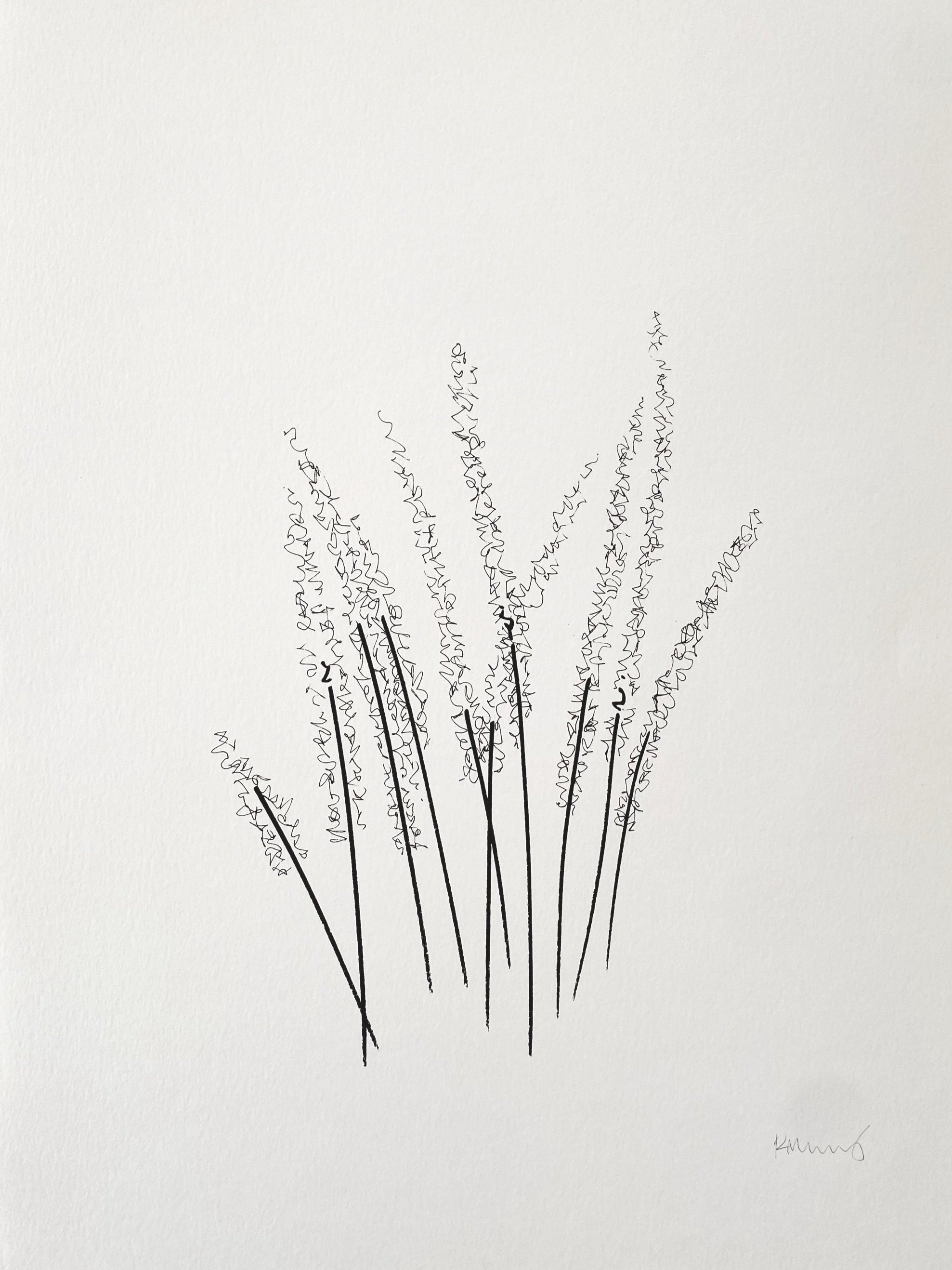 Reed