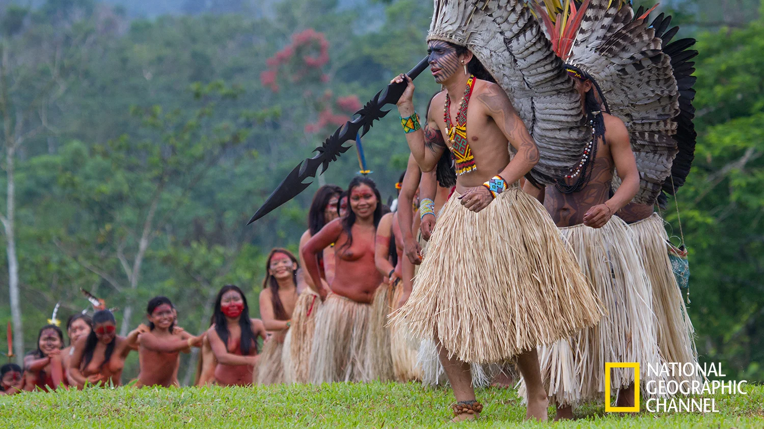 Mundo Selvagem estréia dia 13/Jul às 22h15 no National Geographic Channel