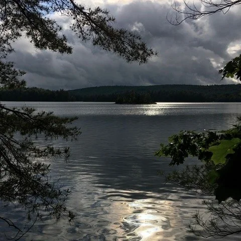 The Place Just Right