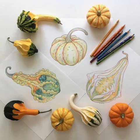 Drawing Inspiration In Season