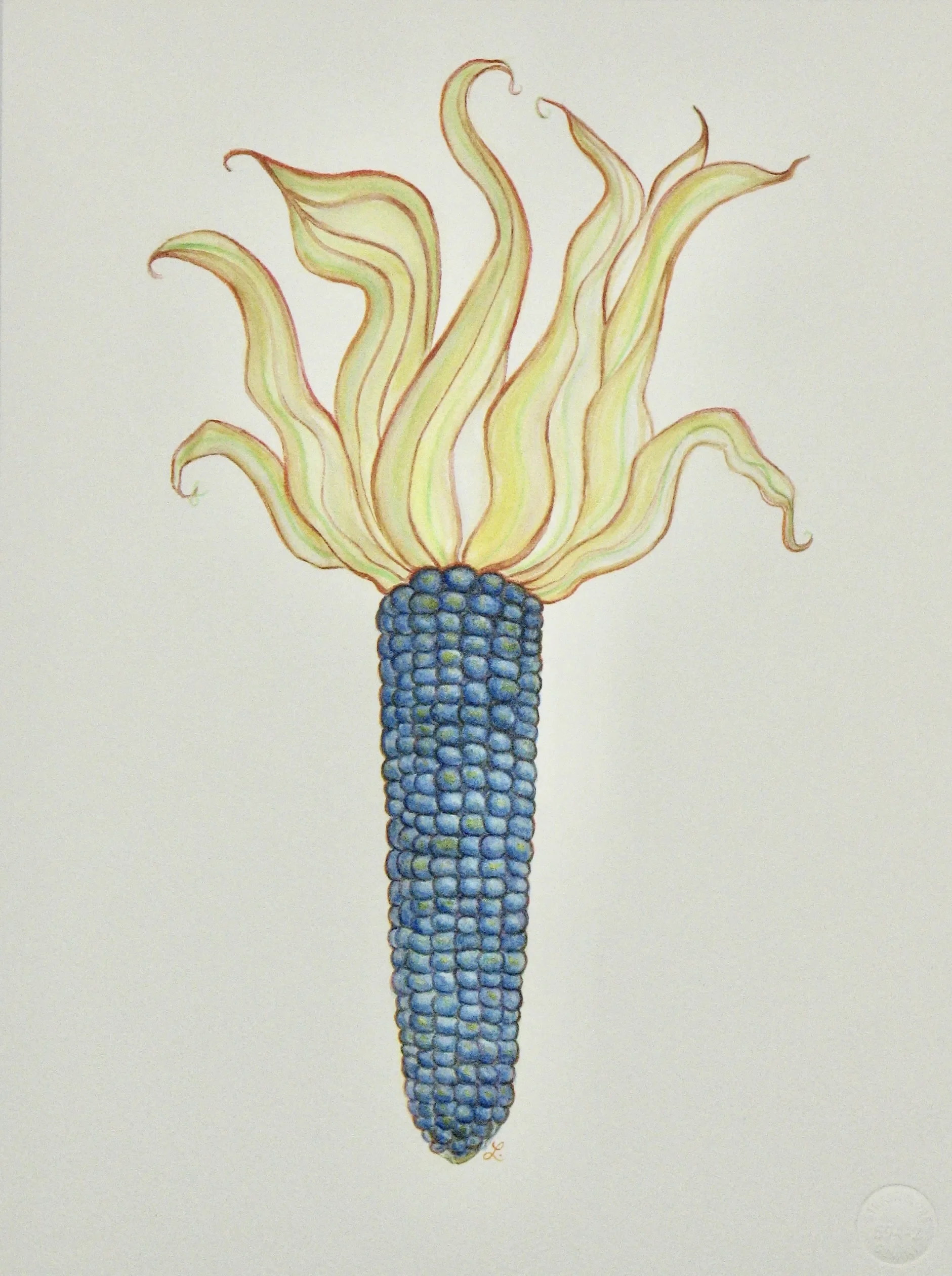 Blue Corn