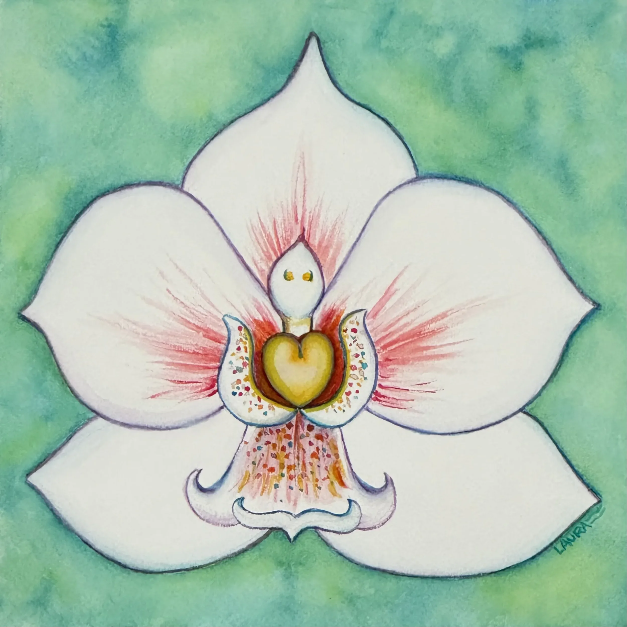 Angel Orchid