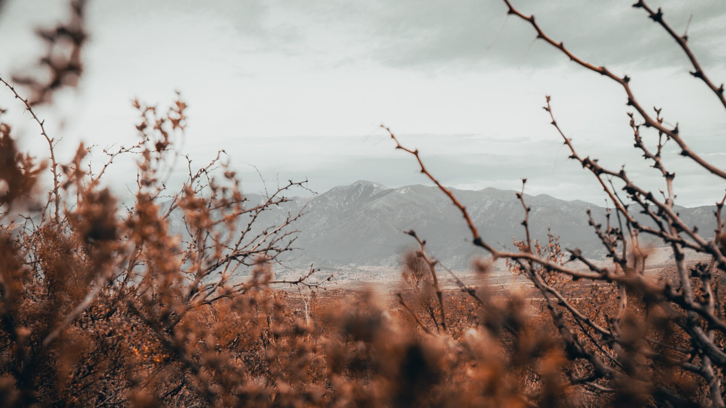 chris-Hpya9664LT4-unsplash.jpeg