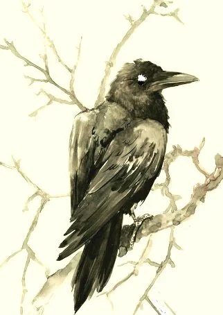 Whispers of a Raven - The Mysterious Wizard