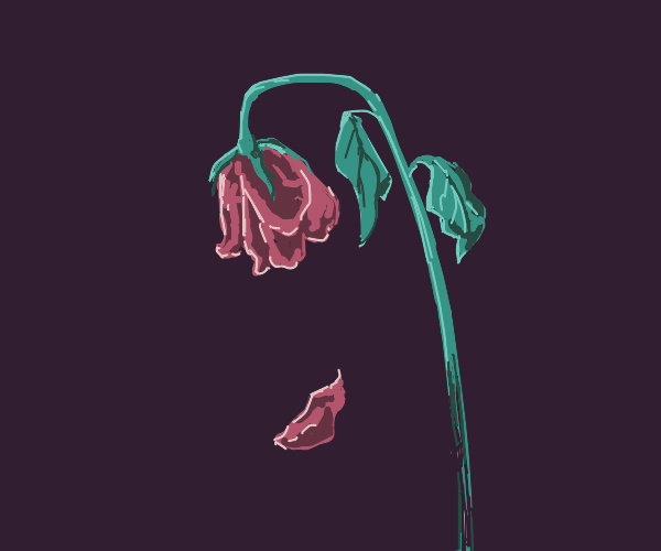 When the Roses Bloom Again - Epilogue