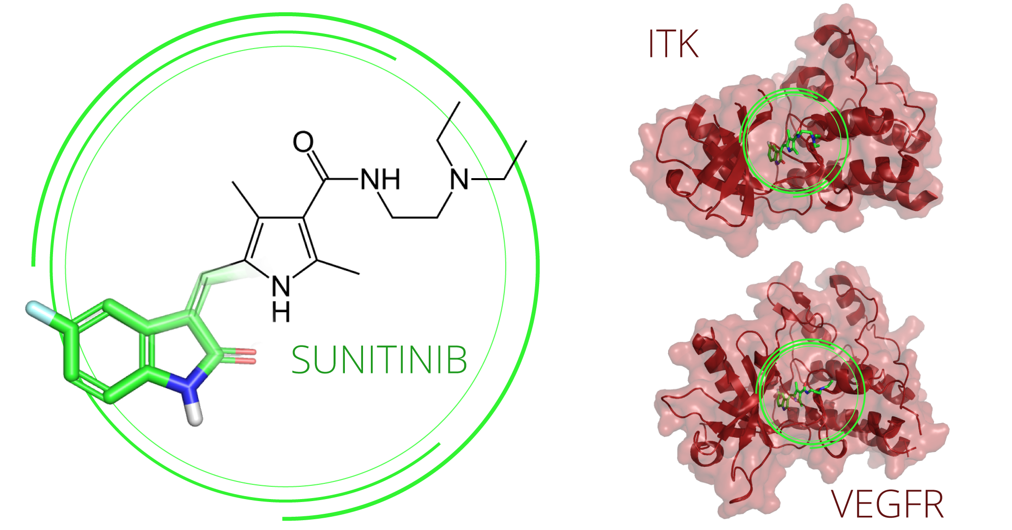 Figure 2.&nbsp;&nbsp;The 2D/3D fused chemical representation of sunitinib. Receptor tyrosine-kinase ITK and VEGFR (red) with sunitinib (red) inhibiting the active site of each.