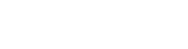 TWIN VOICES
