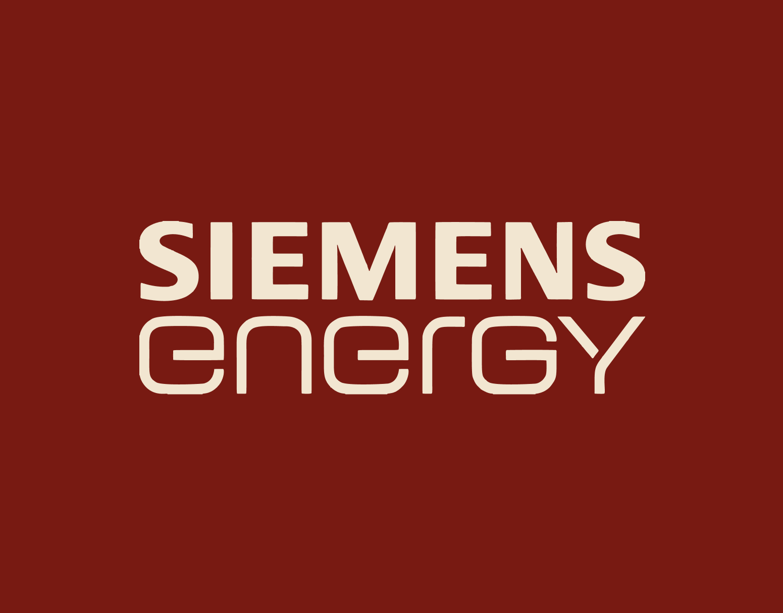 kundenlogo-siemens-ernergy-ts-artwork.png