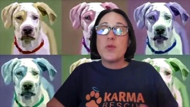 Why Karma pivoted to prevention?