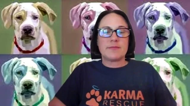 What is Economic Euthanasia?