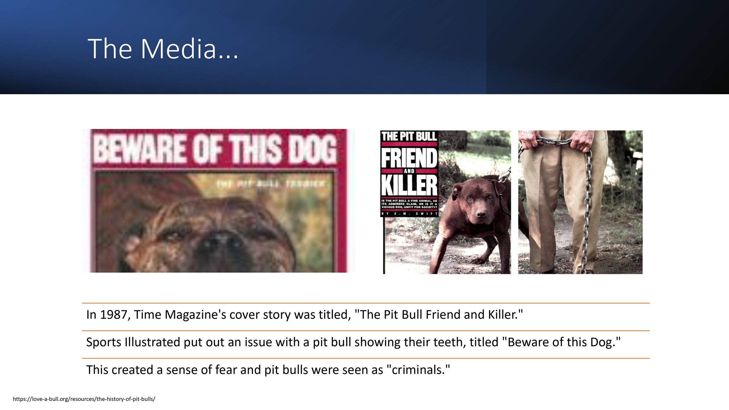 Pit+Bull+Presentation_pages-to-jpg-0007.jpg