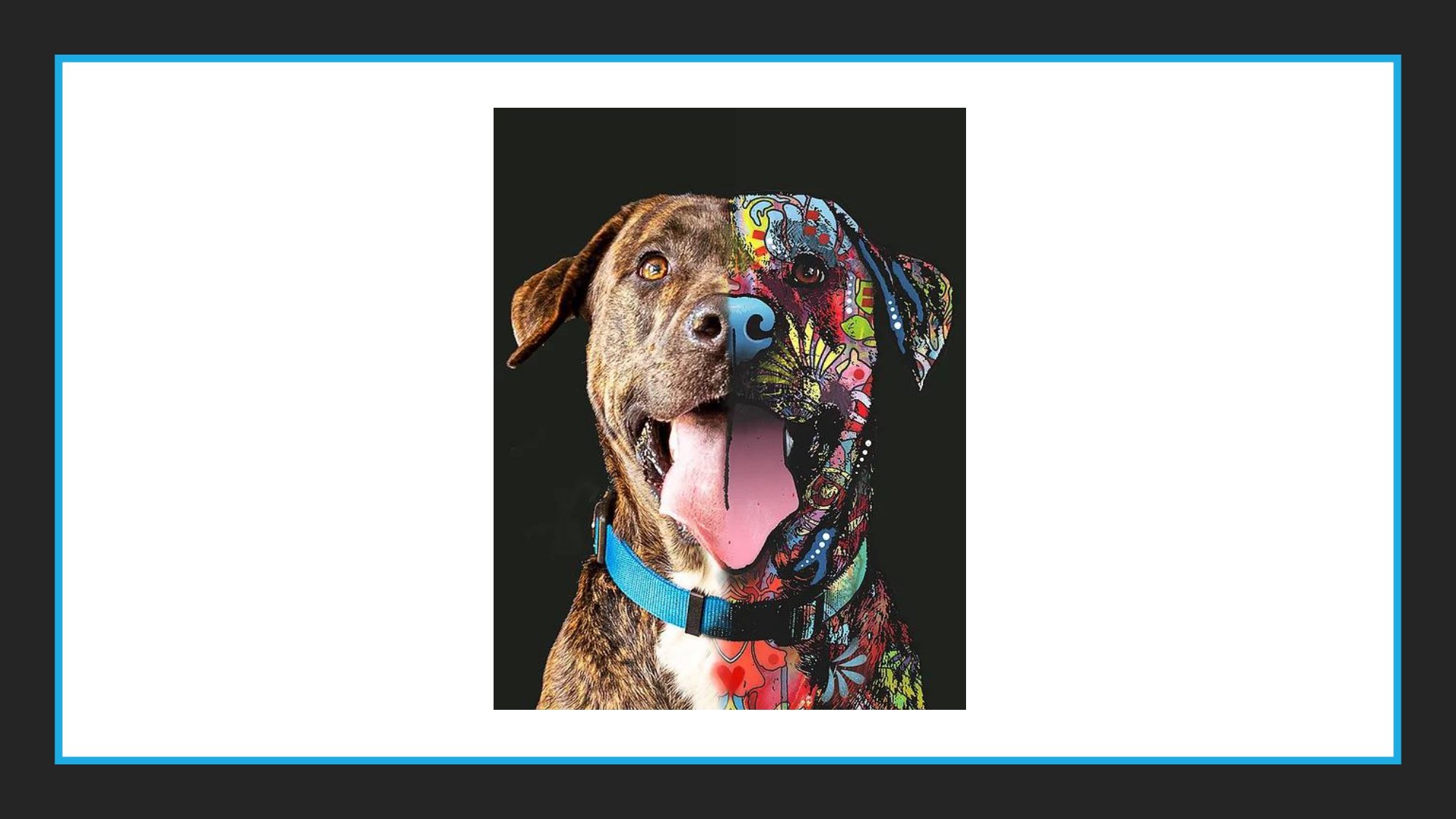 Pit+Bull+Artists_page-0007.jpg