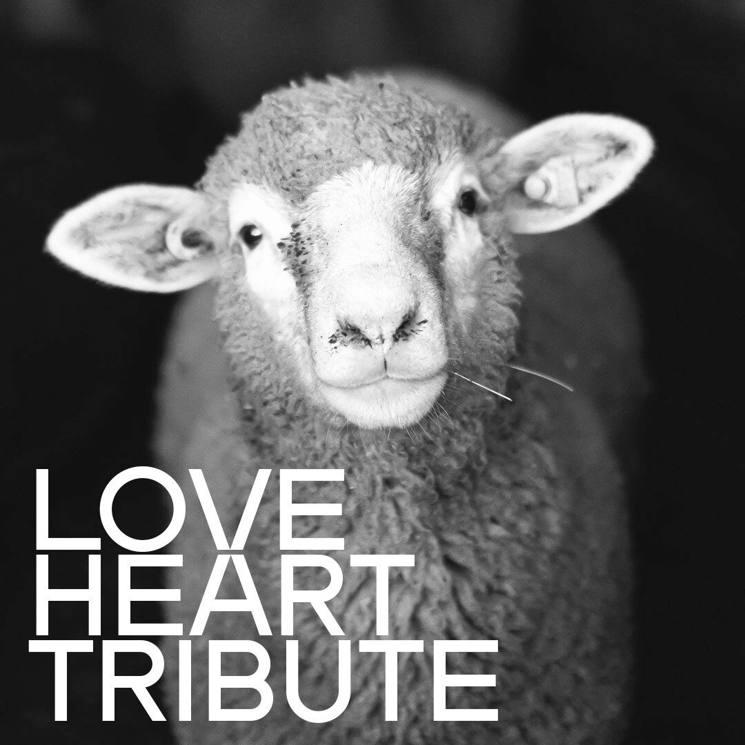 A love heart made out of sheep... Ben Jackson, an Australian farmer pays tribute to his aunt. https://www.bbc.co.uk/news/world-australia-58338661
There are so many unique ways to celebrate a life. #memorial #death #deathpositive #love #funeralservice