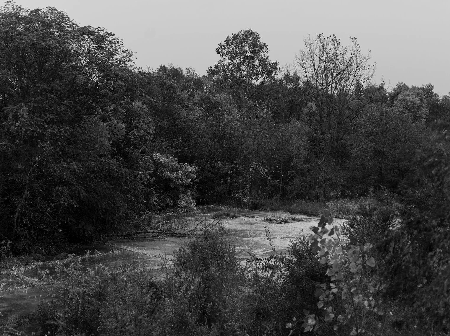 IWU__002447.jpg