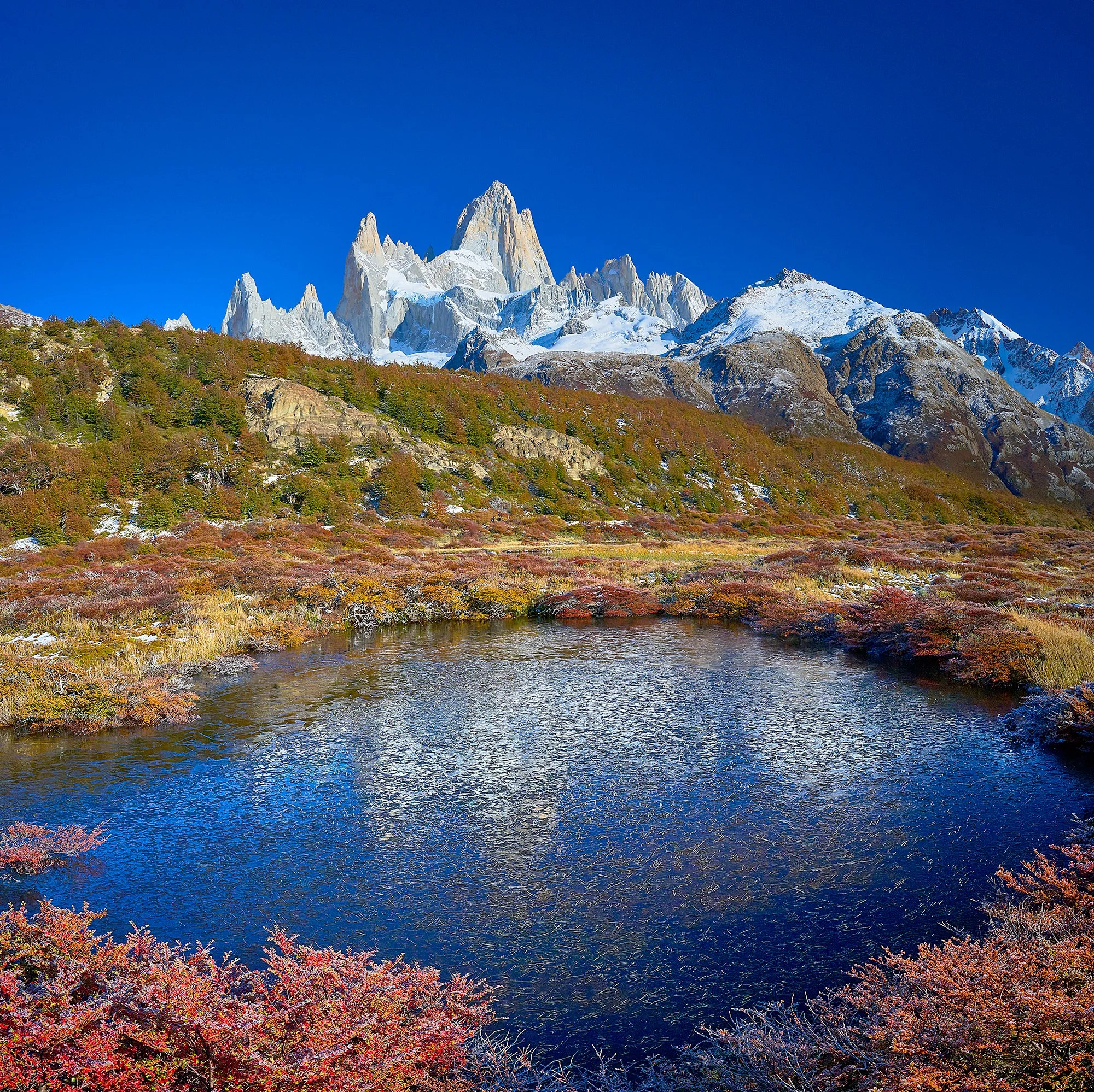MZC-250403-2601_Panorama.jpg