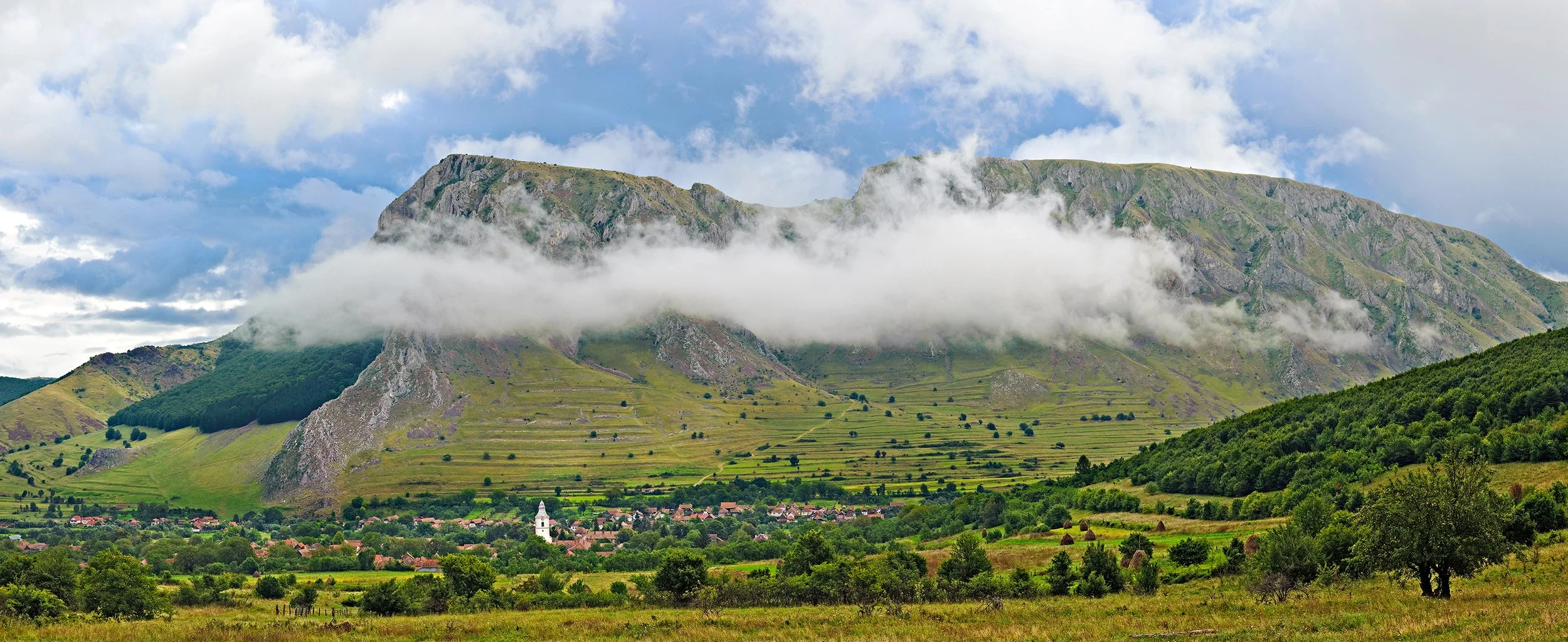 MNF 2010-09-01 0005.jpg