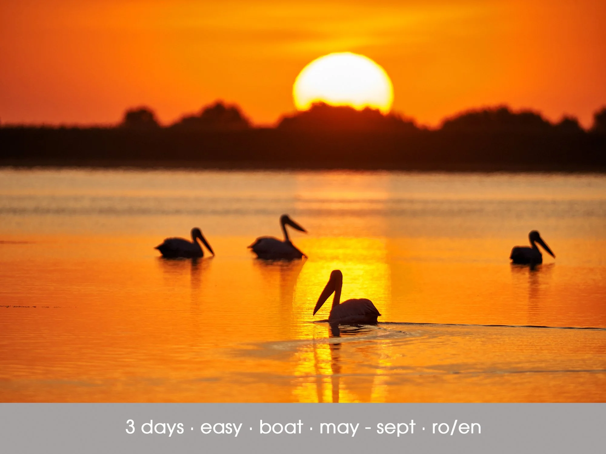Wild Danube Delta Photo Tour