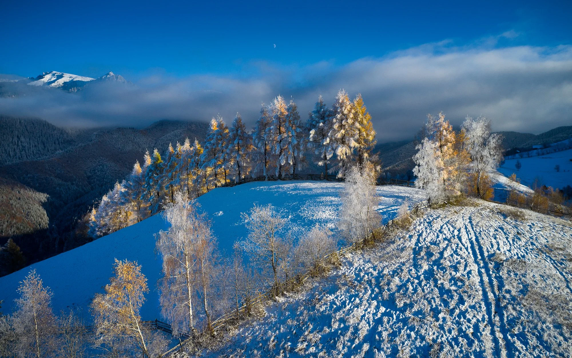 DJB-201122-0029.jpg