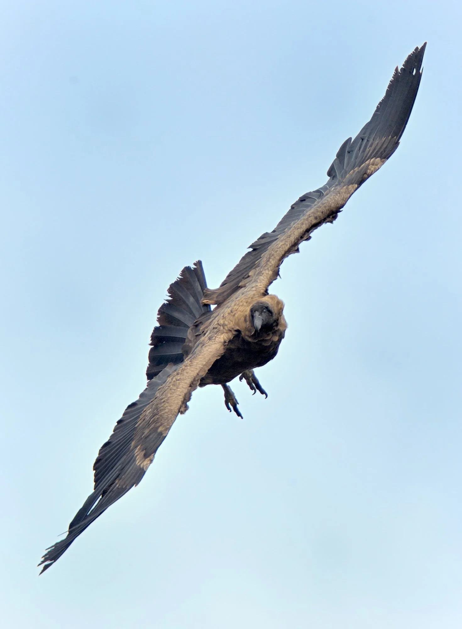 PAT-12-3416.jpg