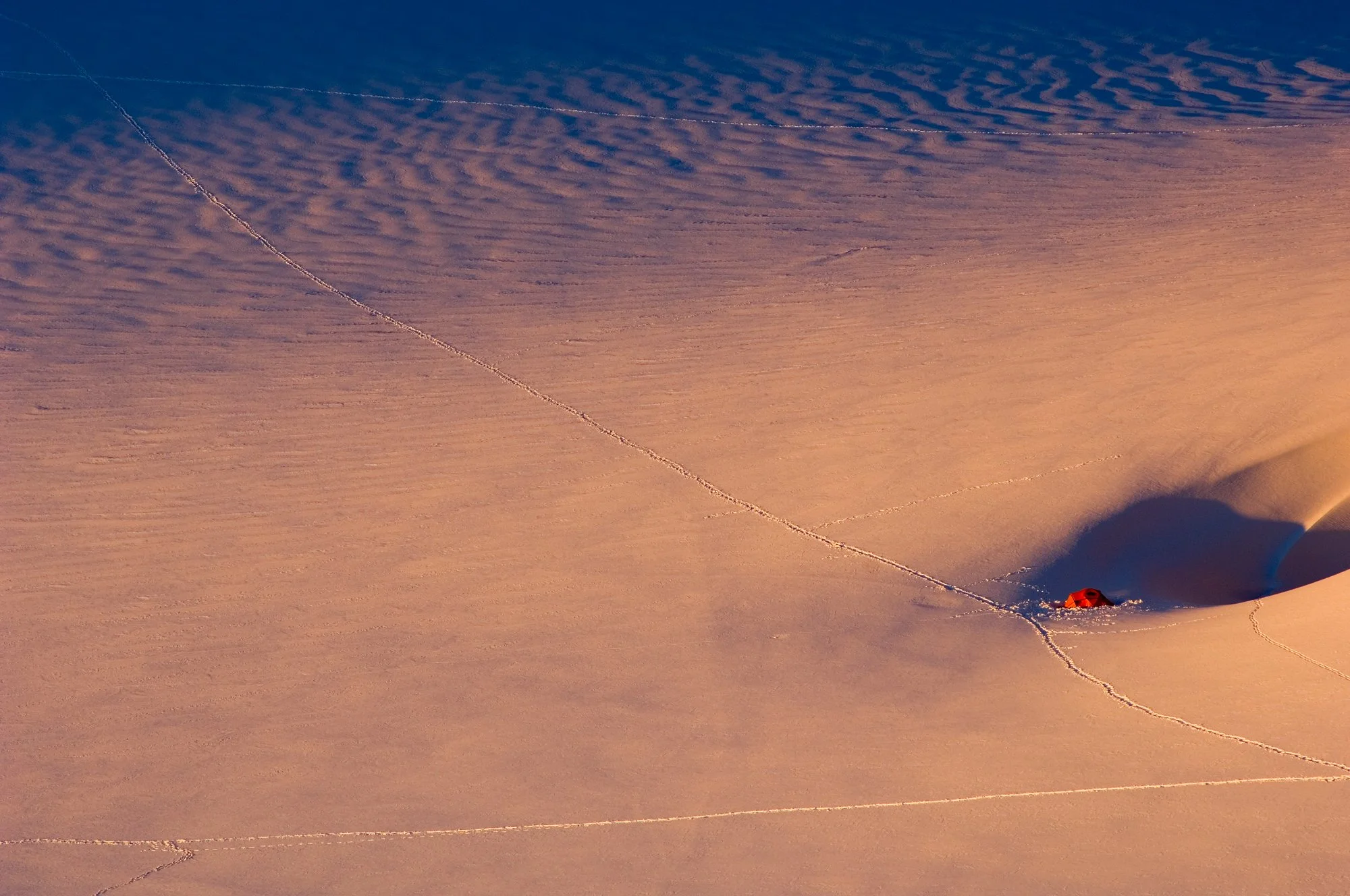 ALP 06 0823.jpg