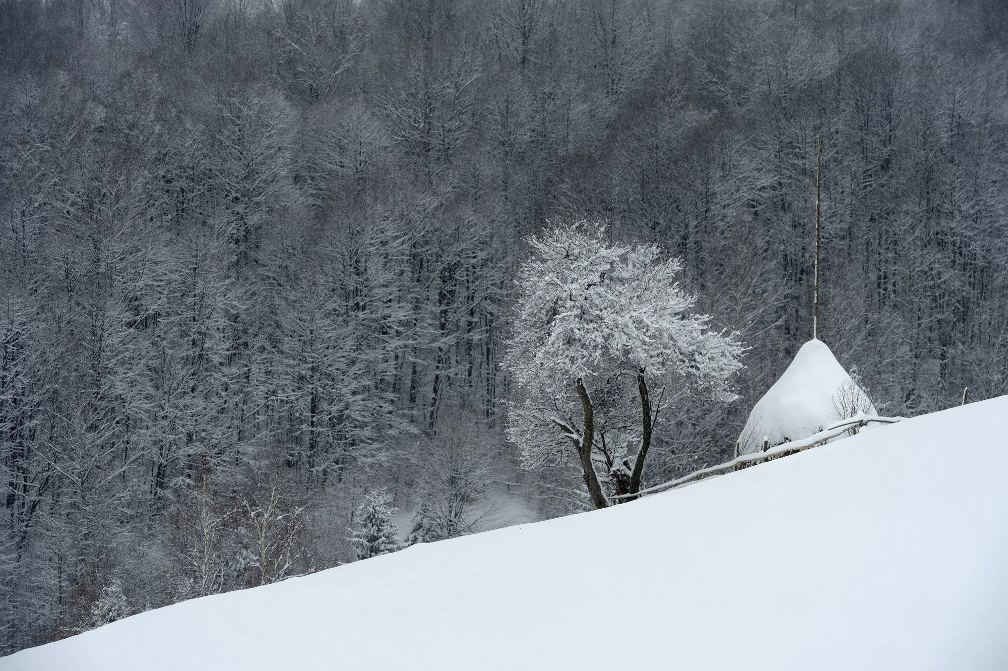 MNA-130208-0026.jpg