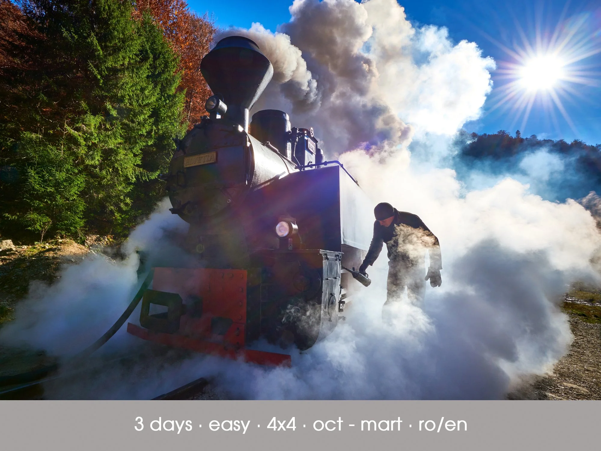Mocănița Steam Train Tour - Maramureș