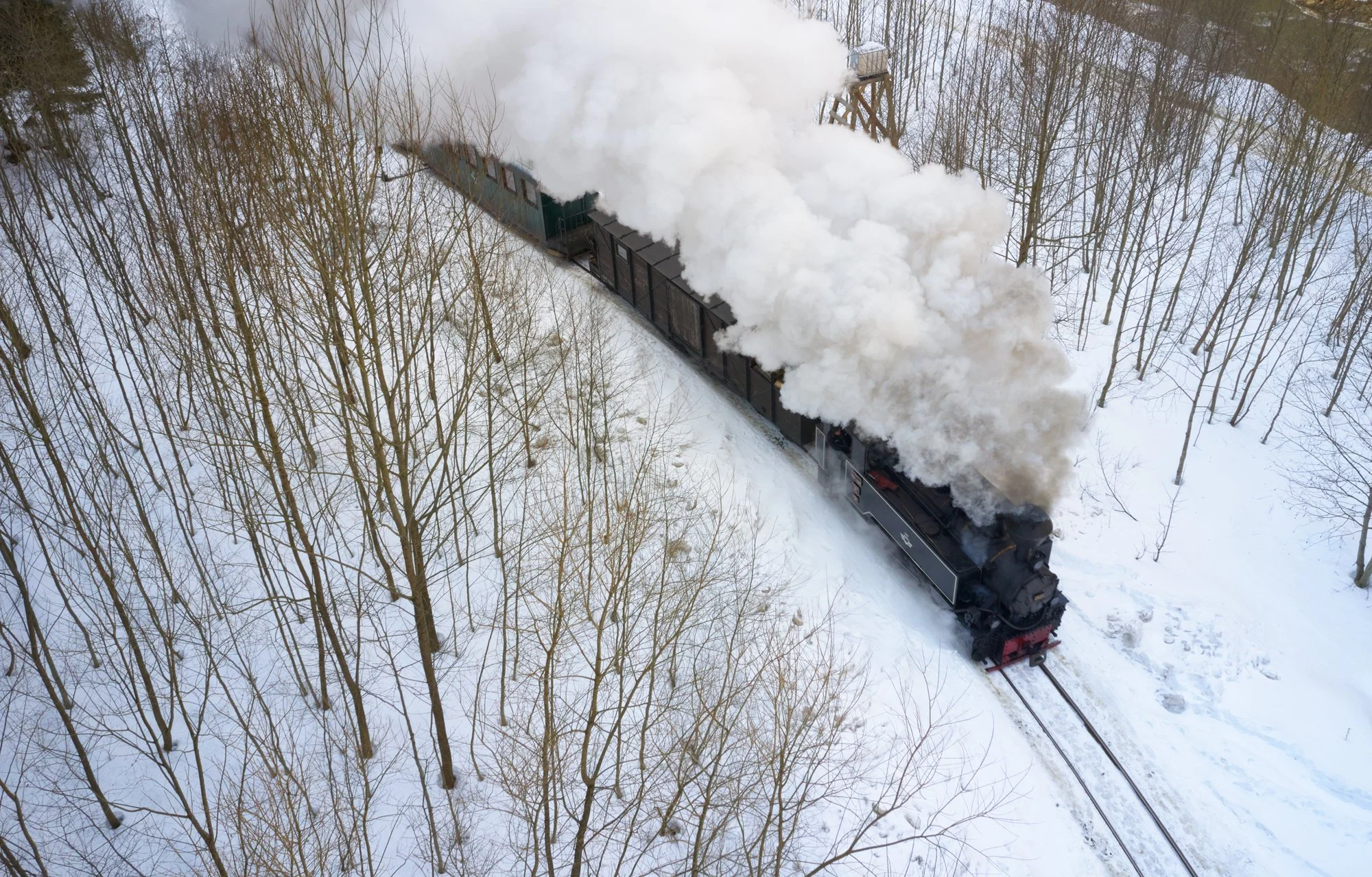 DJA-190225-0044.jpg