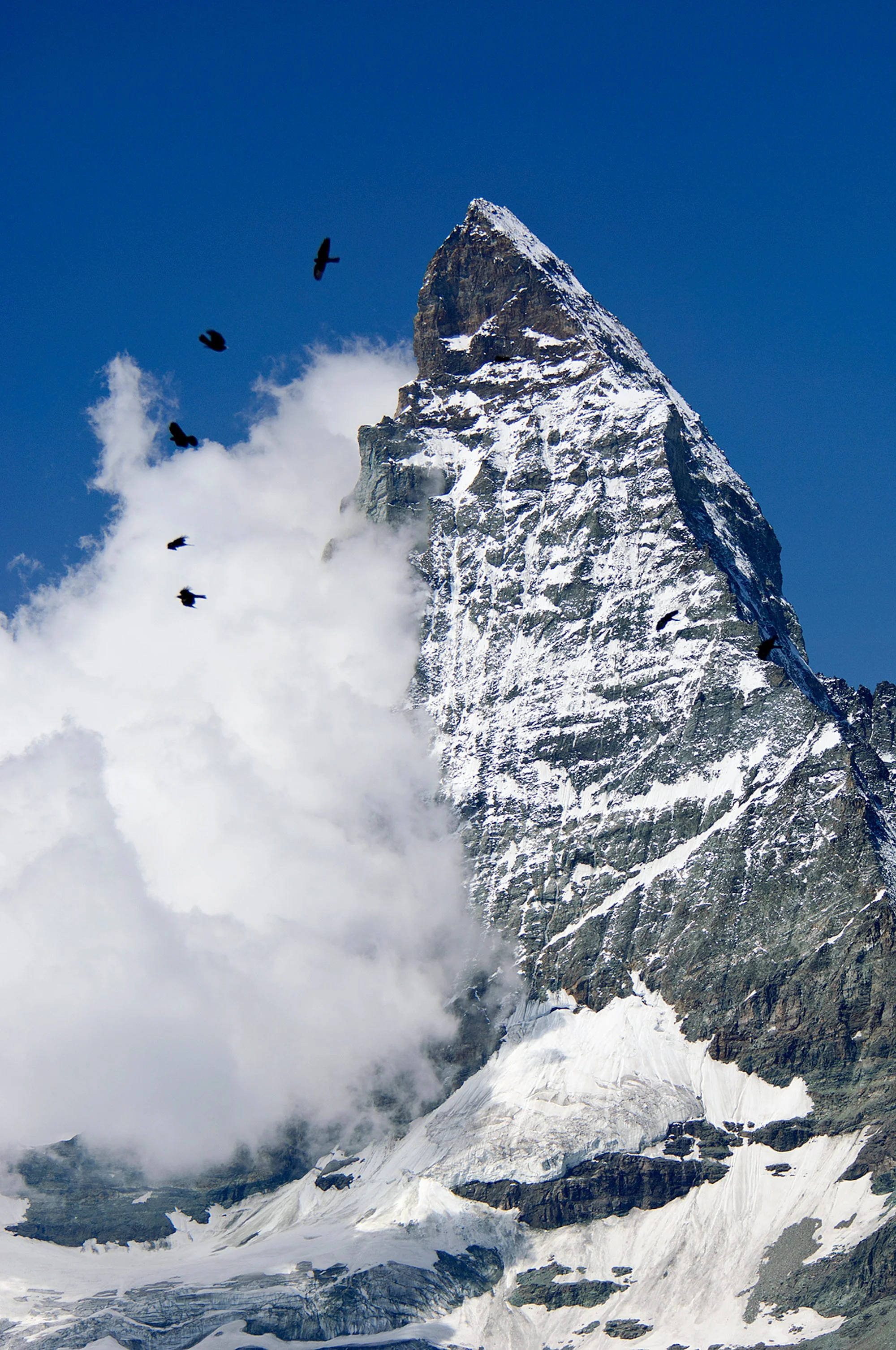 ALP 07 0313.jpg