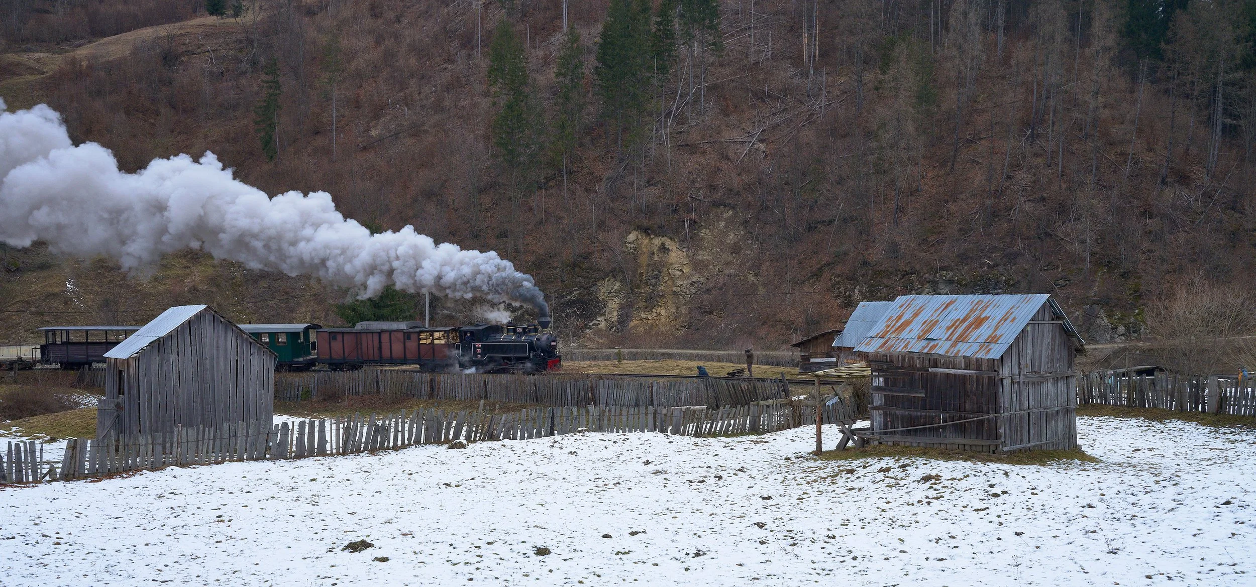 MZC-250214-0083.jpg