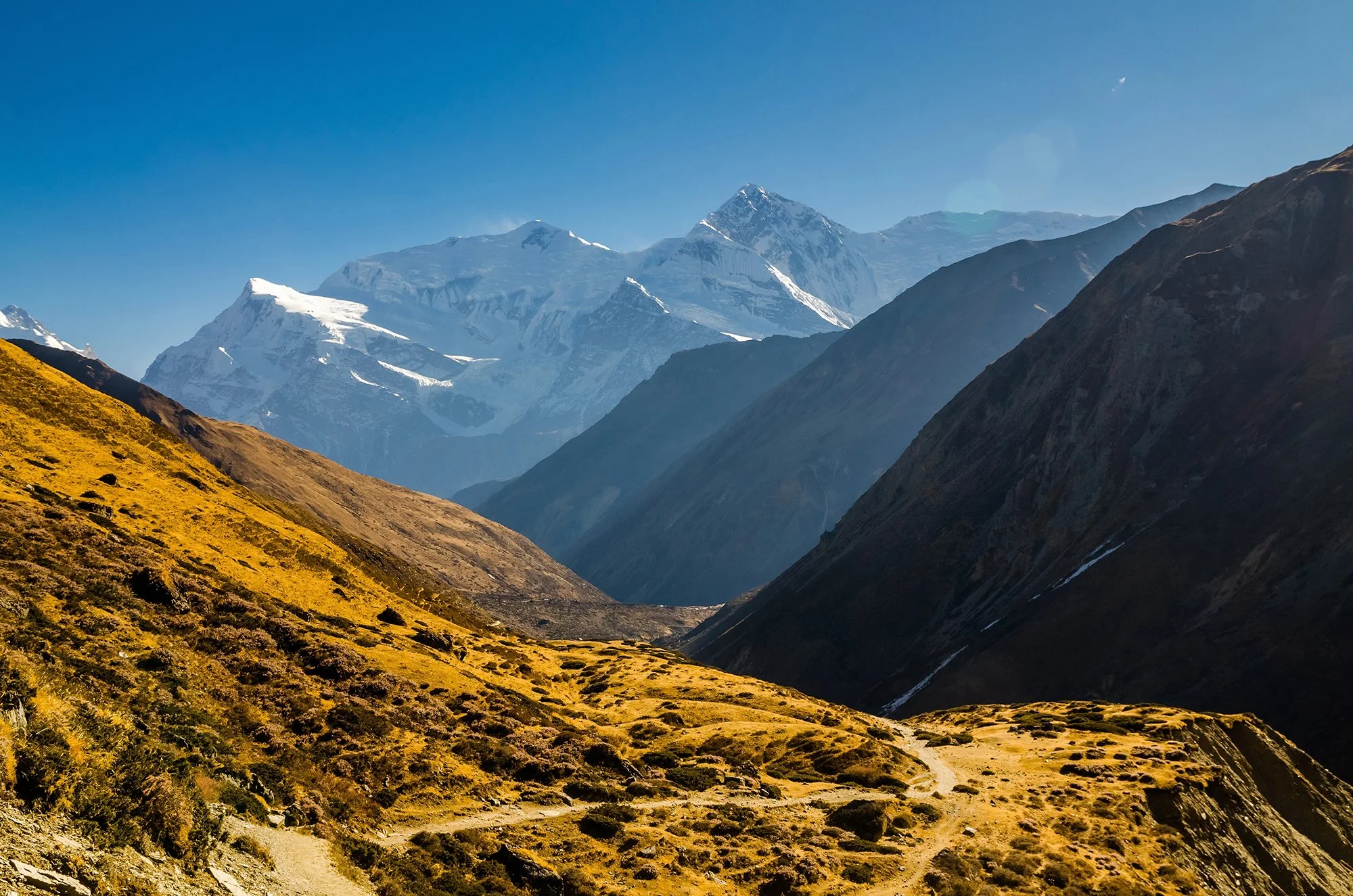 Depositphotos_472667276_XL.jpg
