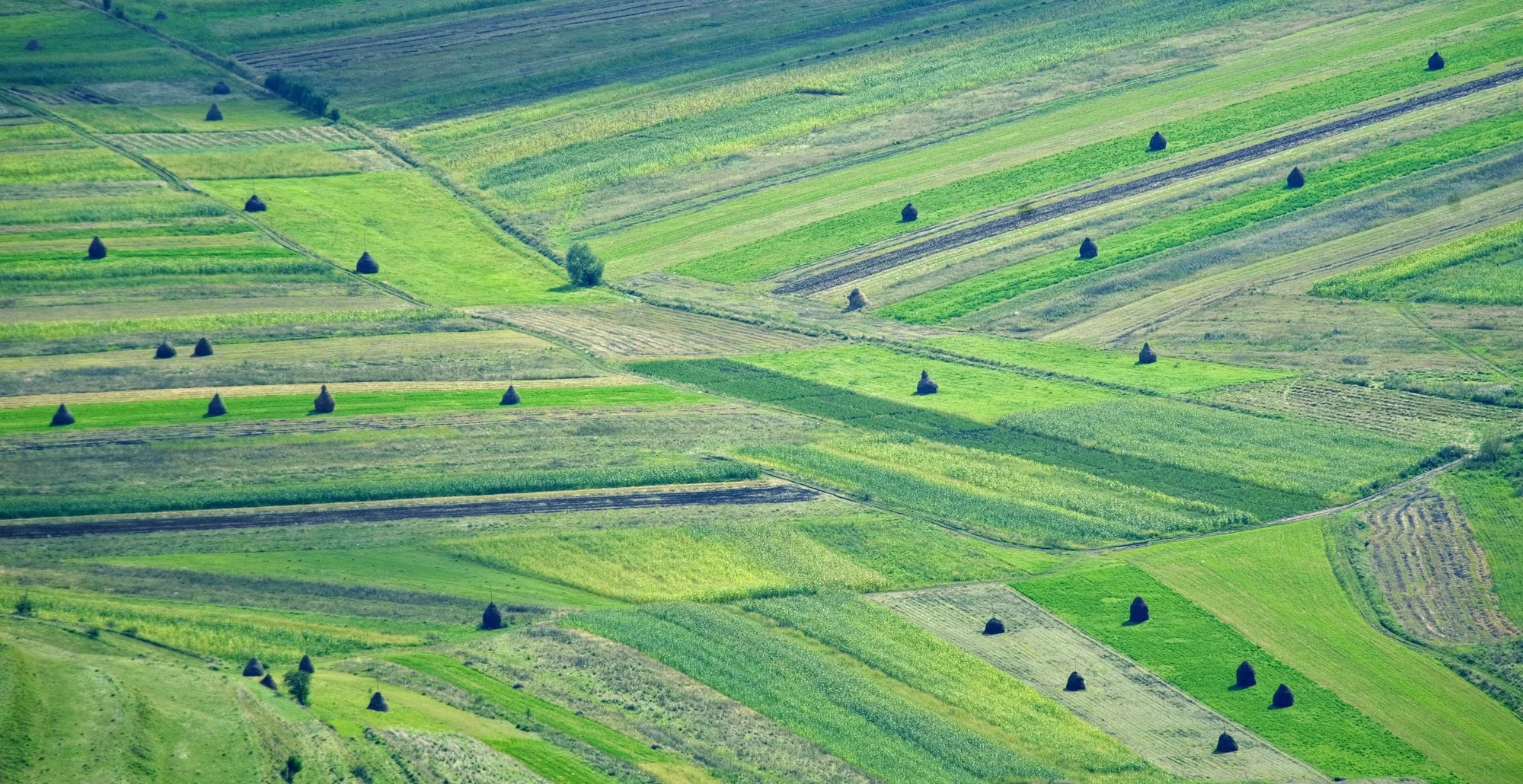 MNF 2010-09-02 0025.jpg