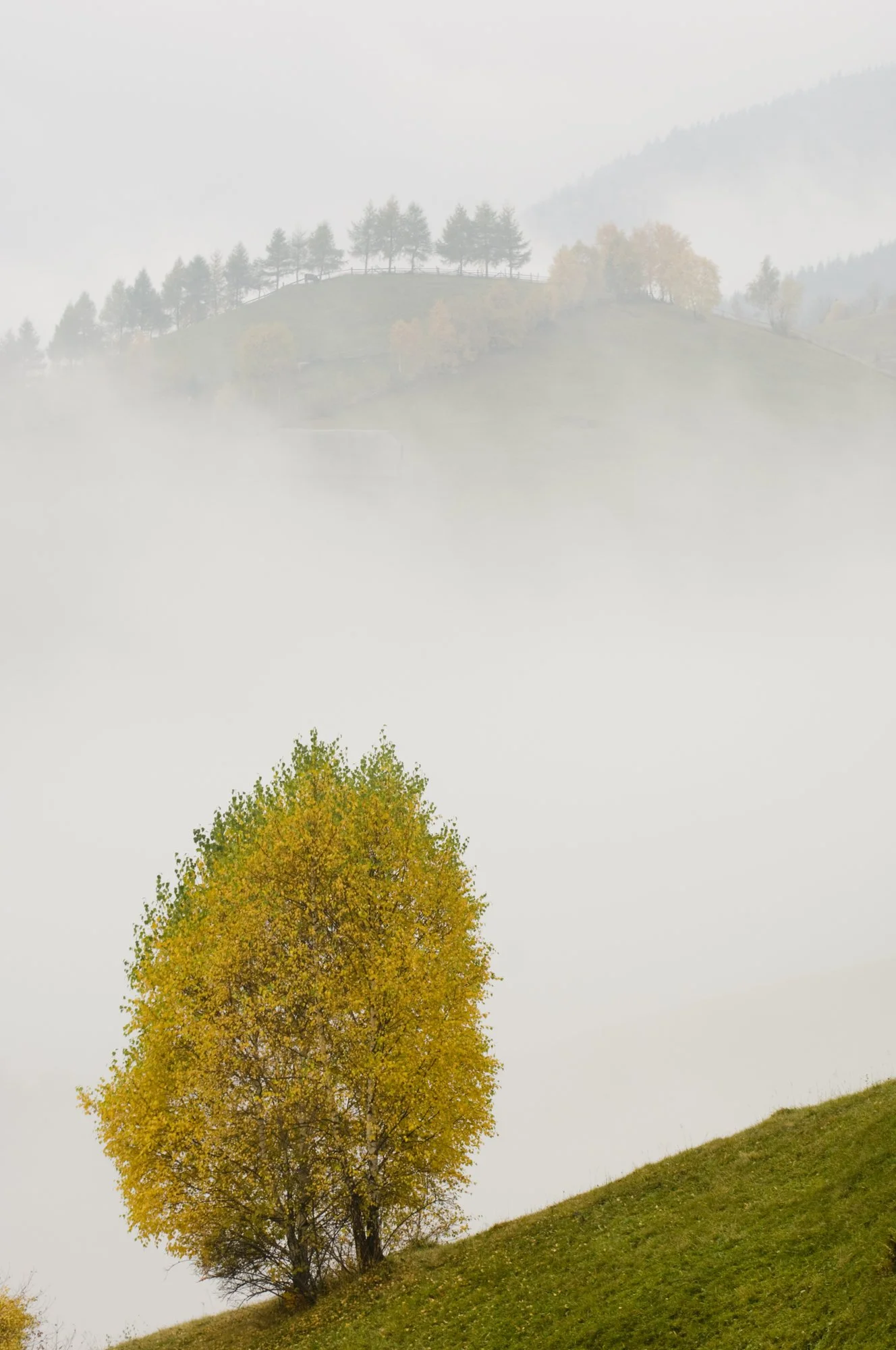 MNX 2008-10-24 0011.jpg