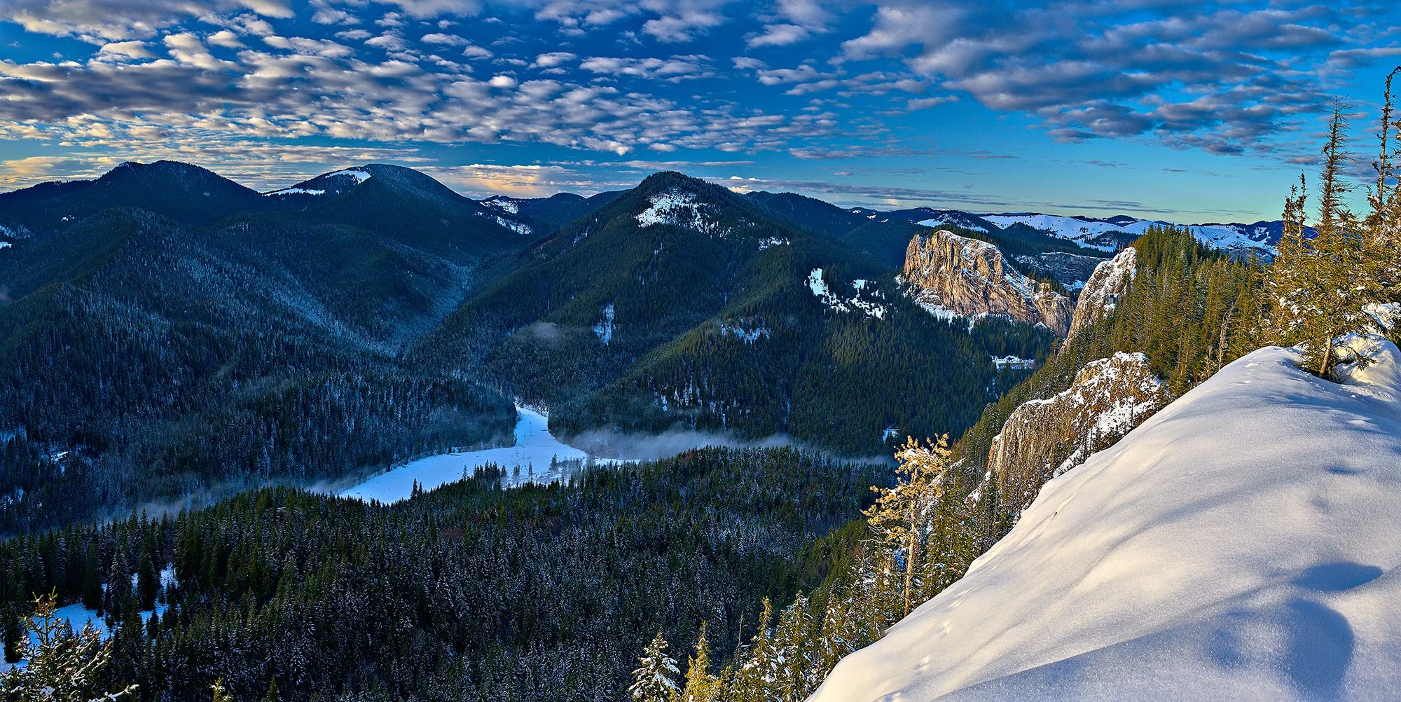 MZC-241229-0067_Panorama.jpg