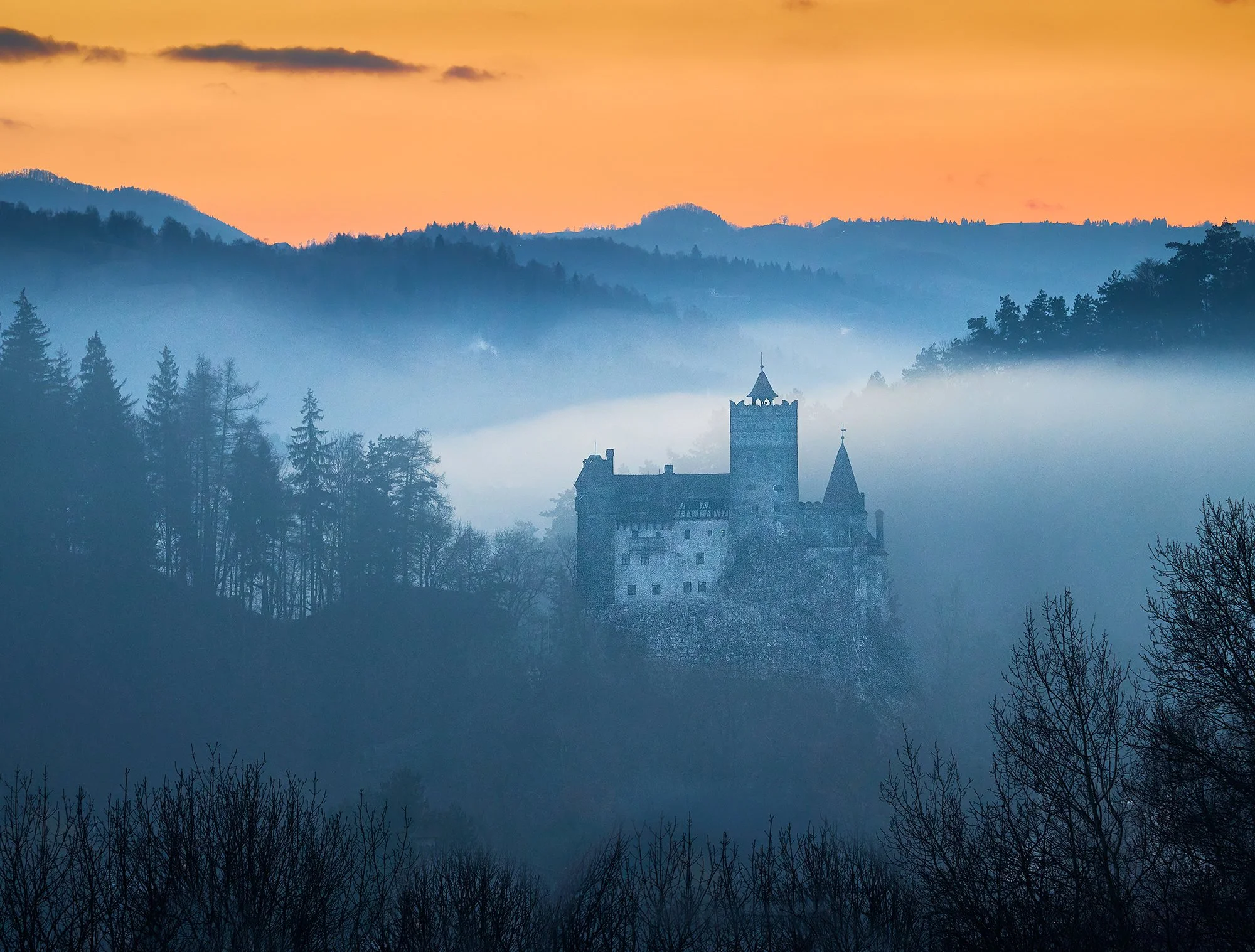 MZC-251221-0142.1.NR.1.c.jpg