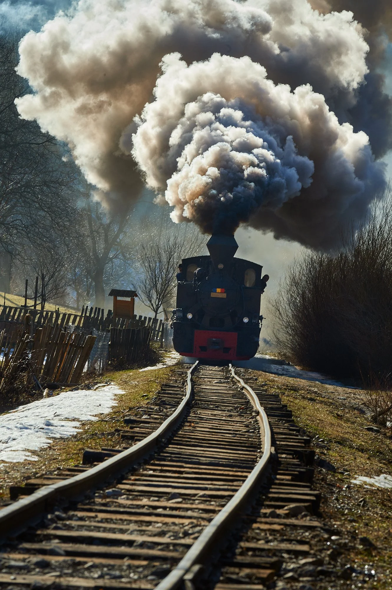 MNA-170227-0321.jpg