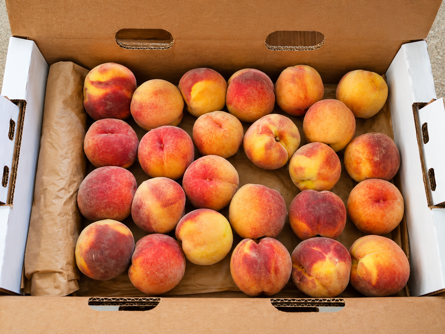 peaches 2.png