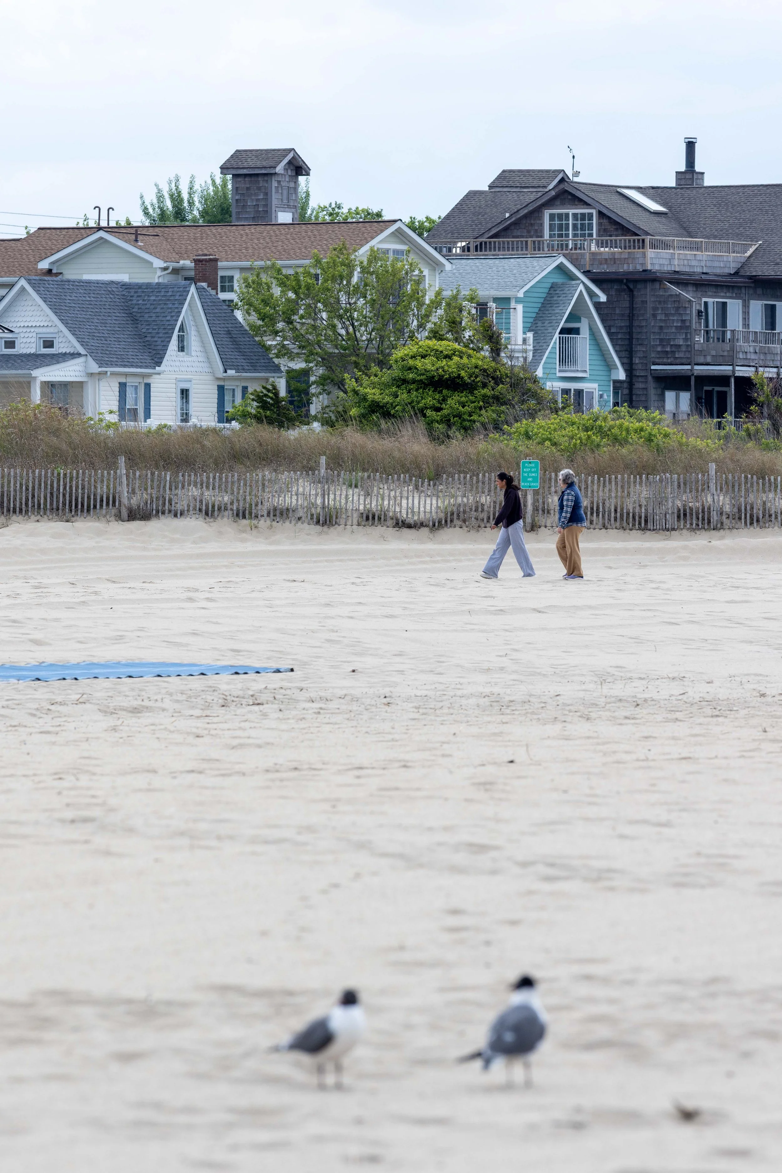 Beach May 2026-4.jpg
