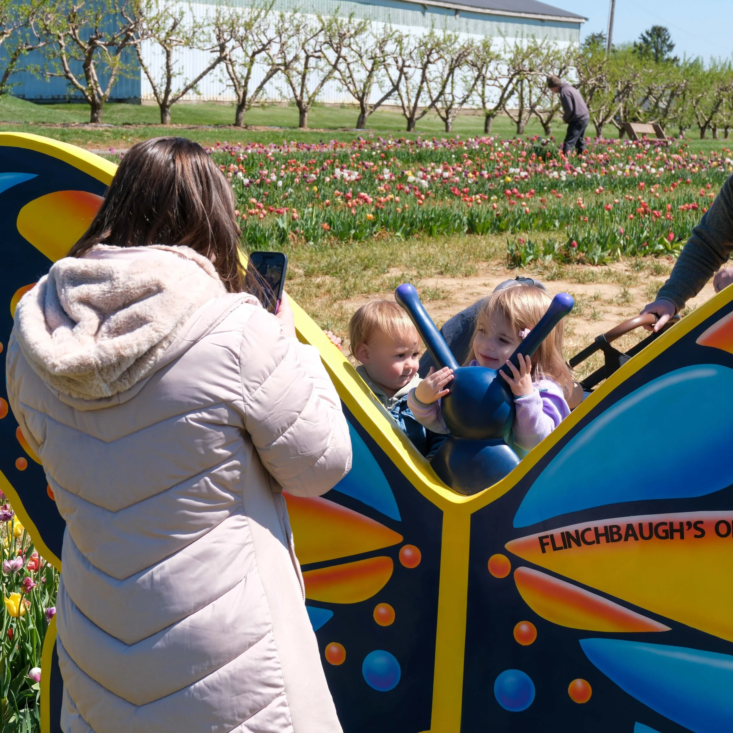 Tulips-7.jpg