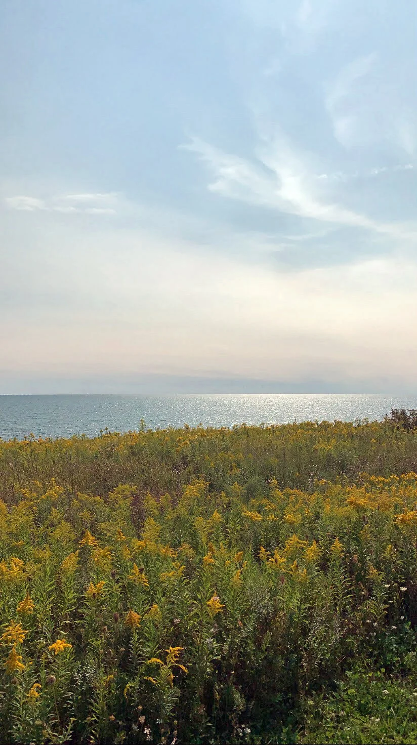 Lake Ontario.jpg